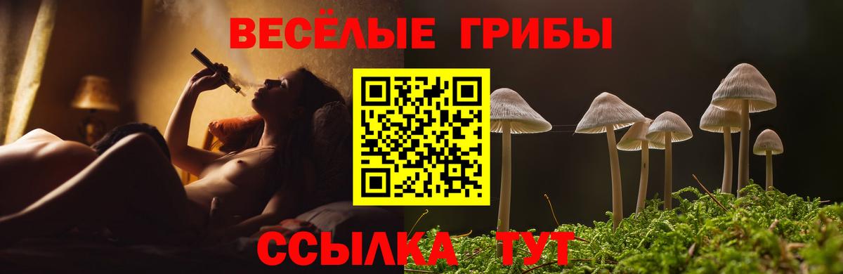 Псилоцибиновые грибы мухоморы  Вход с VPN  Медногорск 